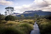 Overland Track, Tasmania